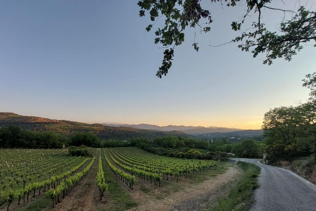Vue De Rennes-Le-Chateau Couiza Dış mekan fotoğraf