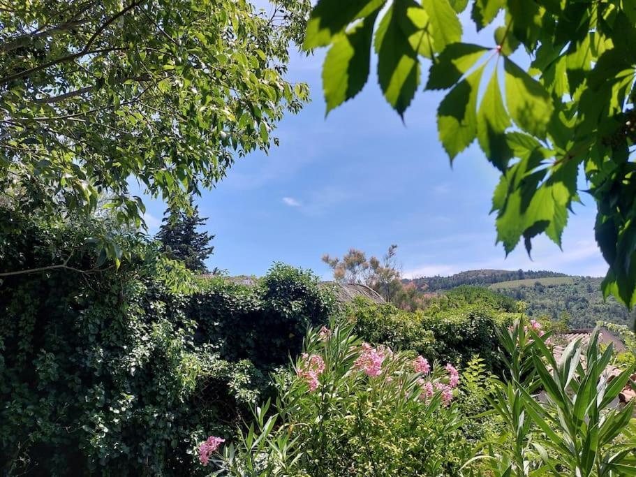 Vue De Rennes-Le-Chateau Couiza Dış mekan fotoğraf