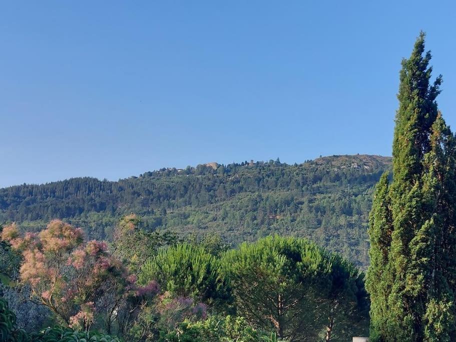 Vue De Rennes-Le-Chateau Couiza Dış mekan fotoğraf
